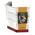 Brochure / Tri-fold Full Color - 2 Sided 8 1/2" X 11"